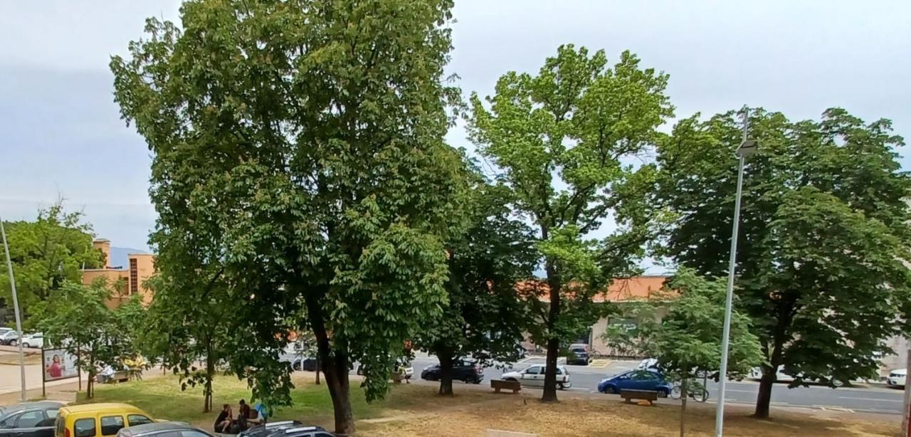 Luminosissimo Appartamento Viareggio Centro Εξωτερικό φωτογραφία